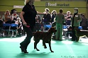 Crufts2011 099